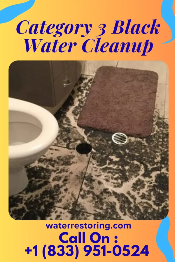 Category 3 Black Water Cleanup in Clarysville, MD