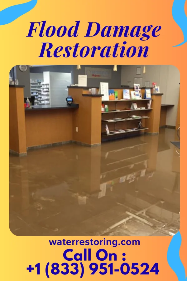 Flood Damage Restoration in Clarysville, MD