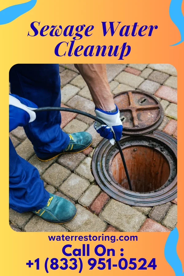 Sewage Water Cleanup in Clarysville, MD
