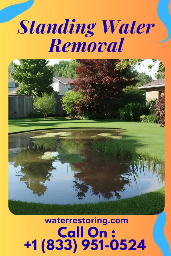 Standing Water Removal in Clarysville, MD